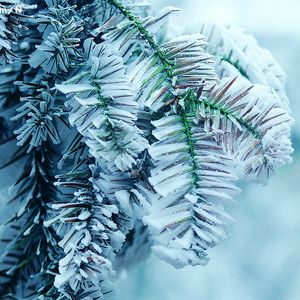 耽肉高H喷汁动漫
